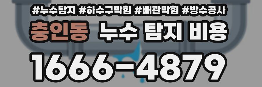 충인동 누수 탐지 비용