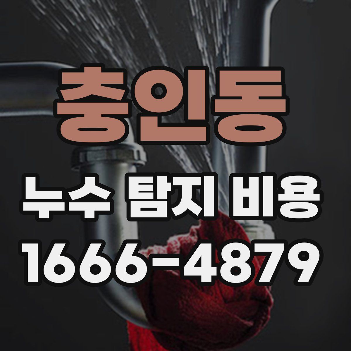충인동 누수 탐지 비용
