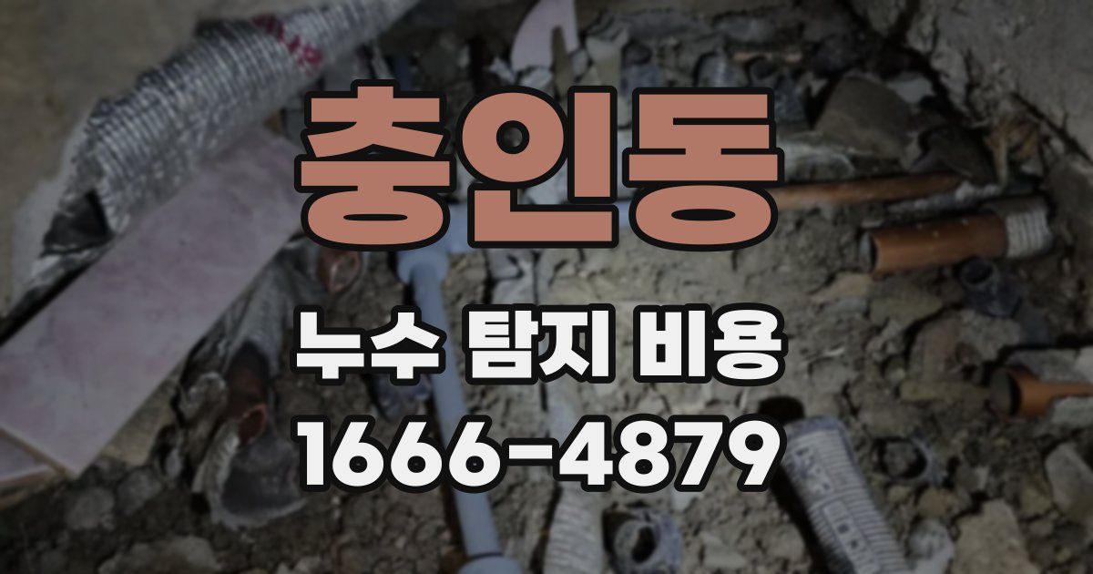 충인동 누수 탐지 비용
