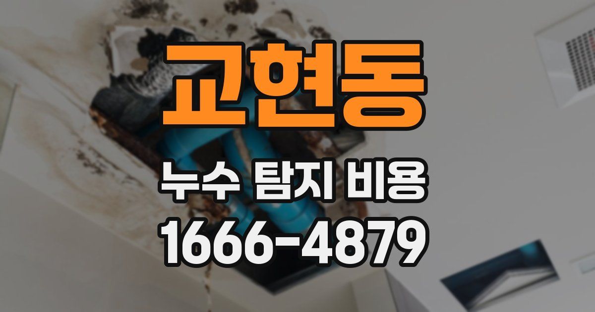 교현동 누수 탐지 비용
