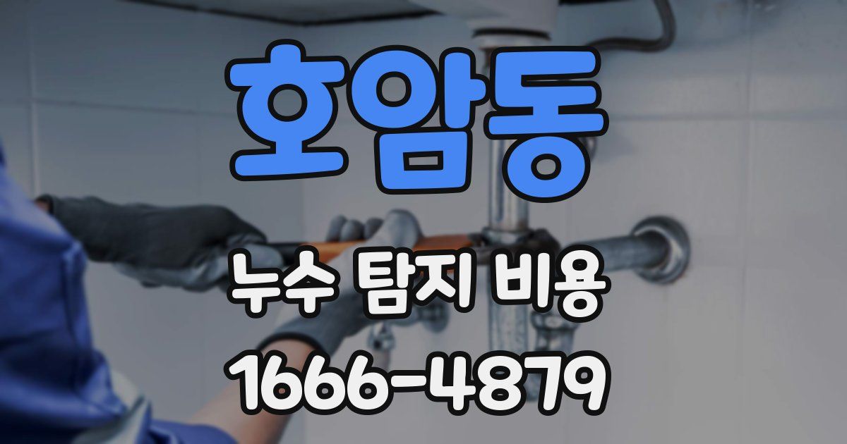 호암동 누수 탐지 비용