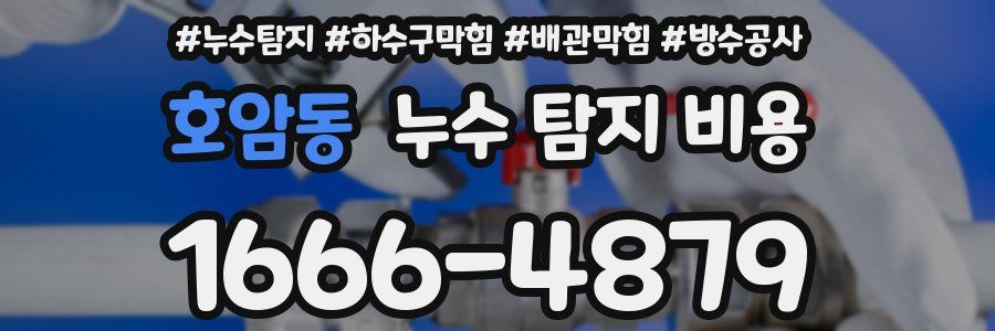 호암동 누수 탐지 비용