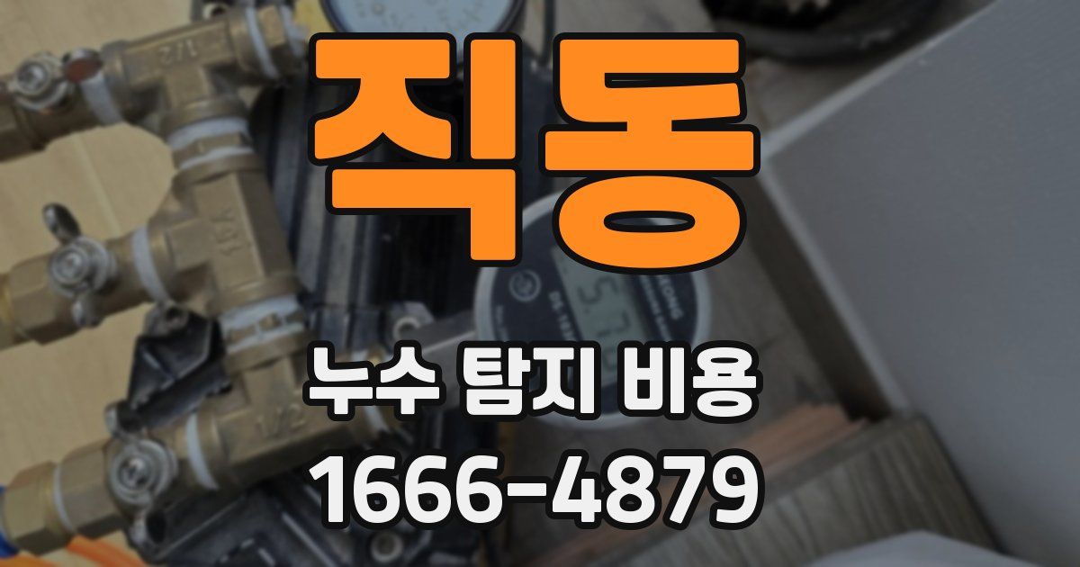 직동 누수 탐지 비용