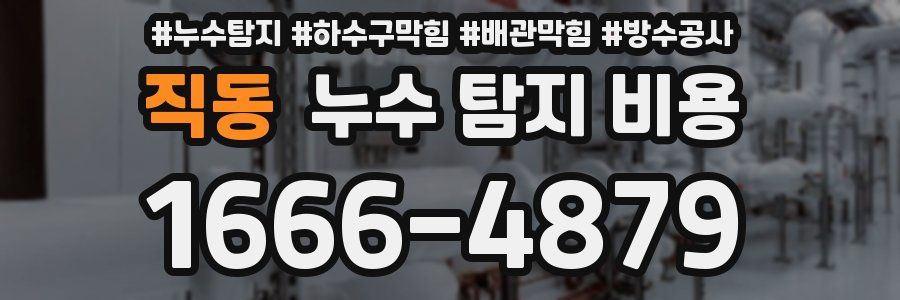 직동 누수 탐지 비용