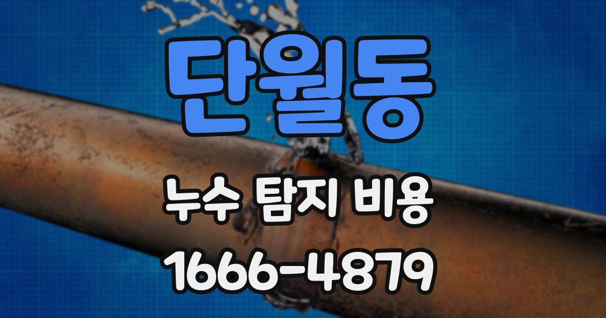 단월동 누수 탐지 비용