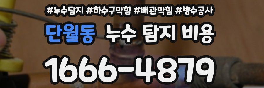 단월동 누수 탐지 비용