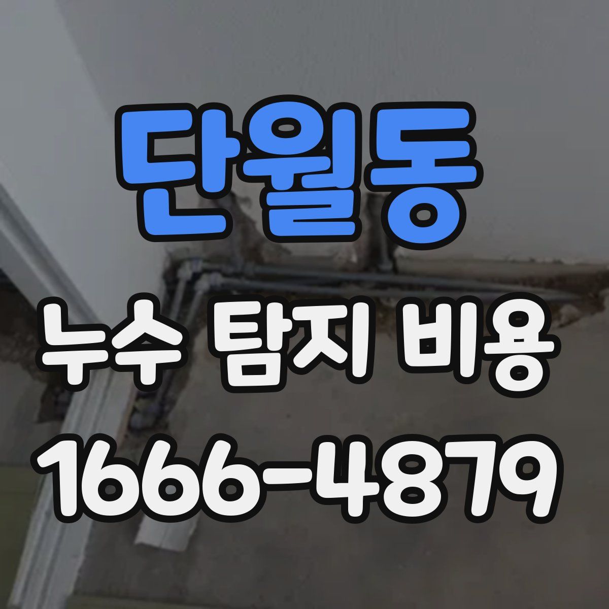 단월동 누수 탐지 비용