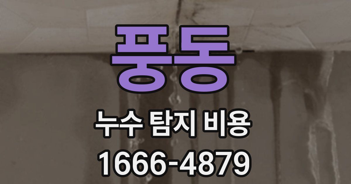 풍동 누수 탐지 비용