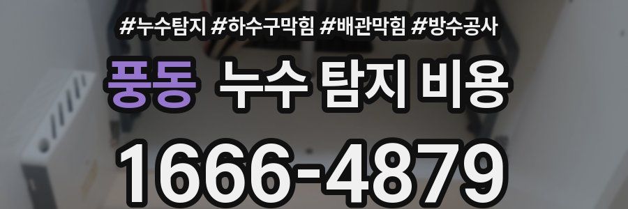 풍동 누수 탐지 비용
