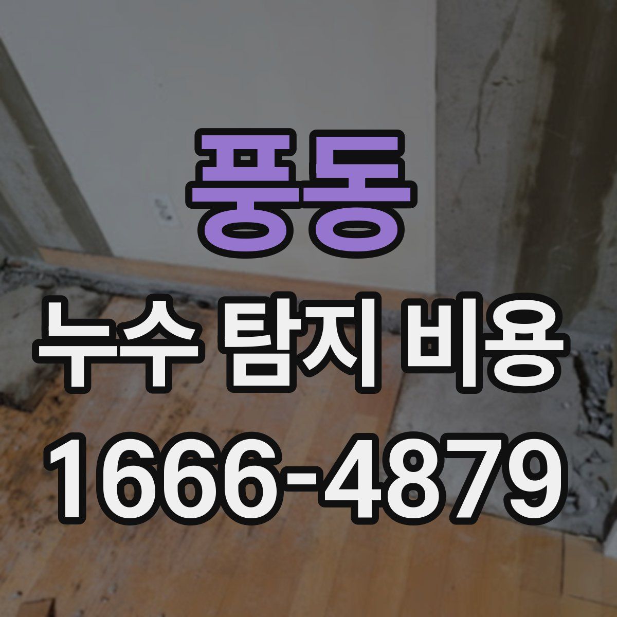 풍동 누수 탐지 비용