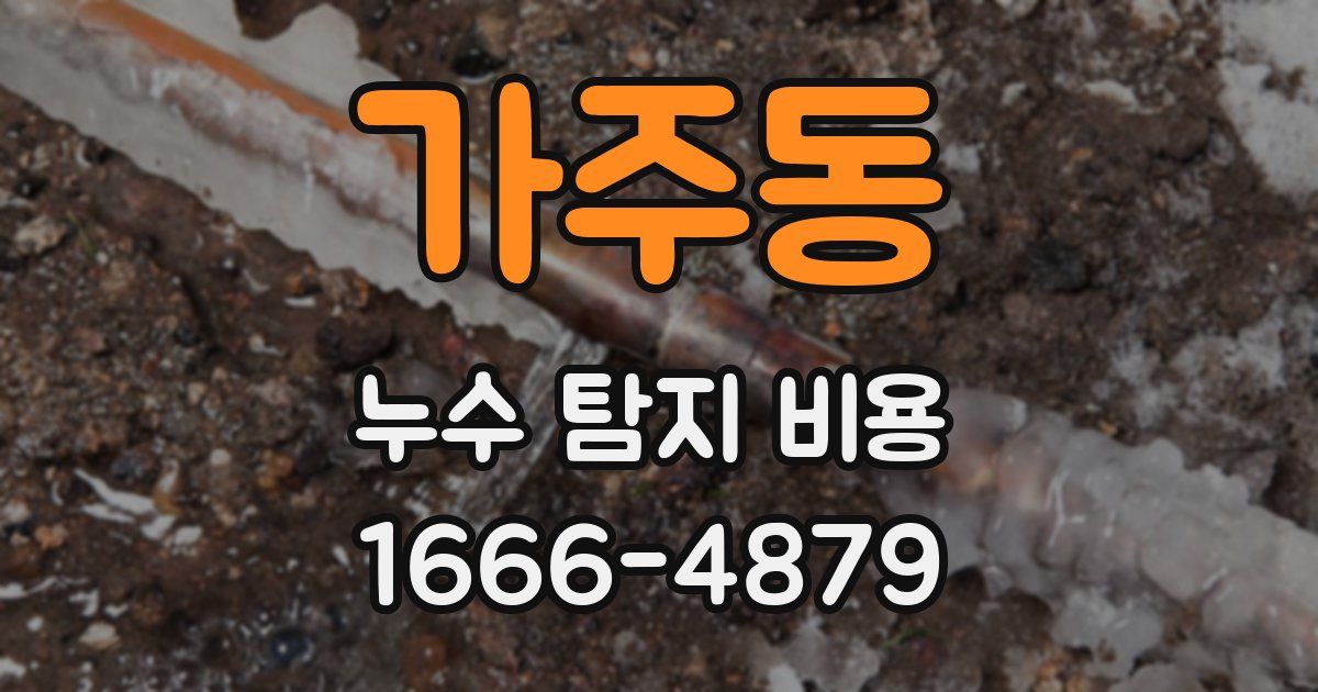 가주동 누수 탐지 비용