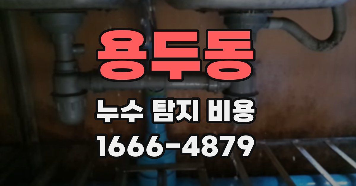 용두동 누수 탐지 비용