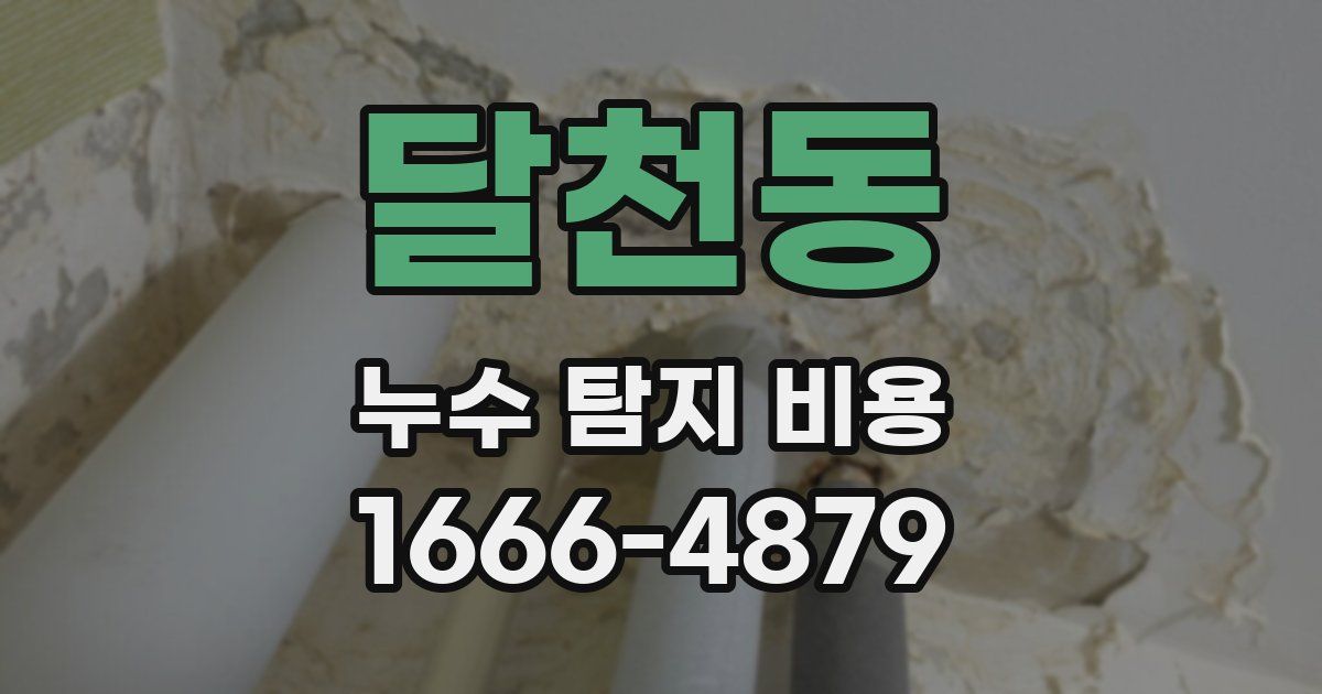 달천동 누수 탐지 비용