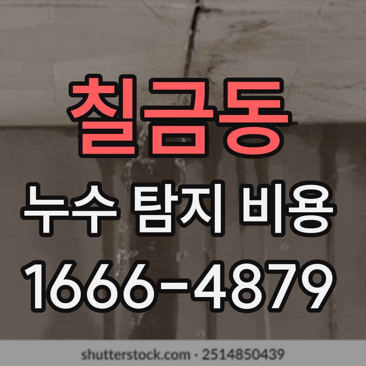 칠금동 누수 탐지 비용