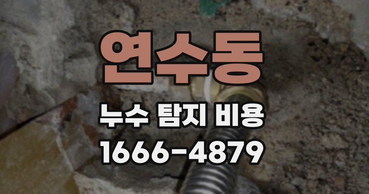 연수동 누수 탐지 비용