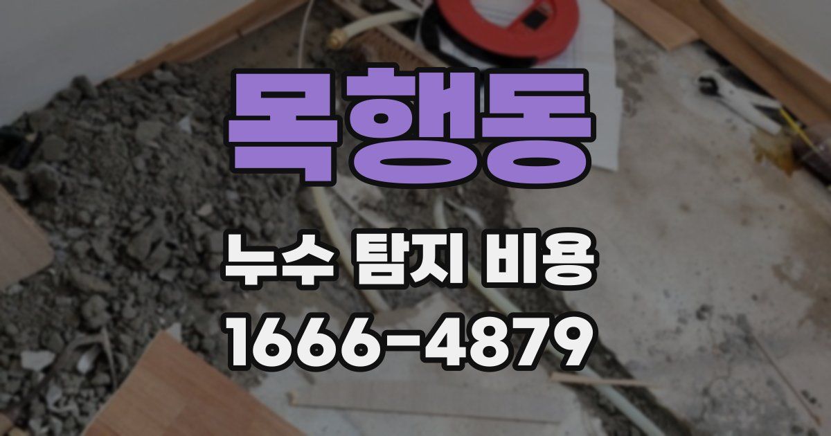 목행동 누수 탐지 비용