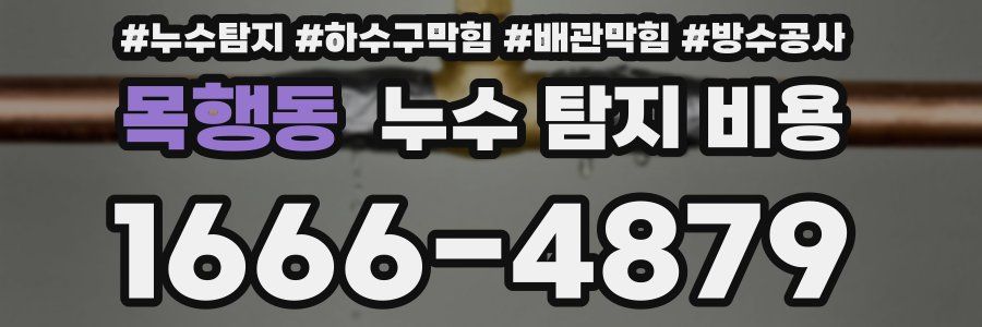 목행동 누수 탐지 비용