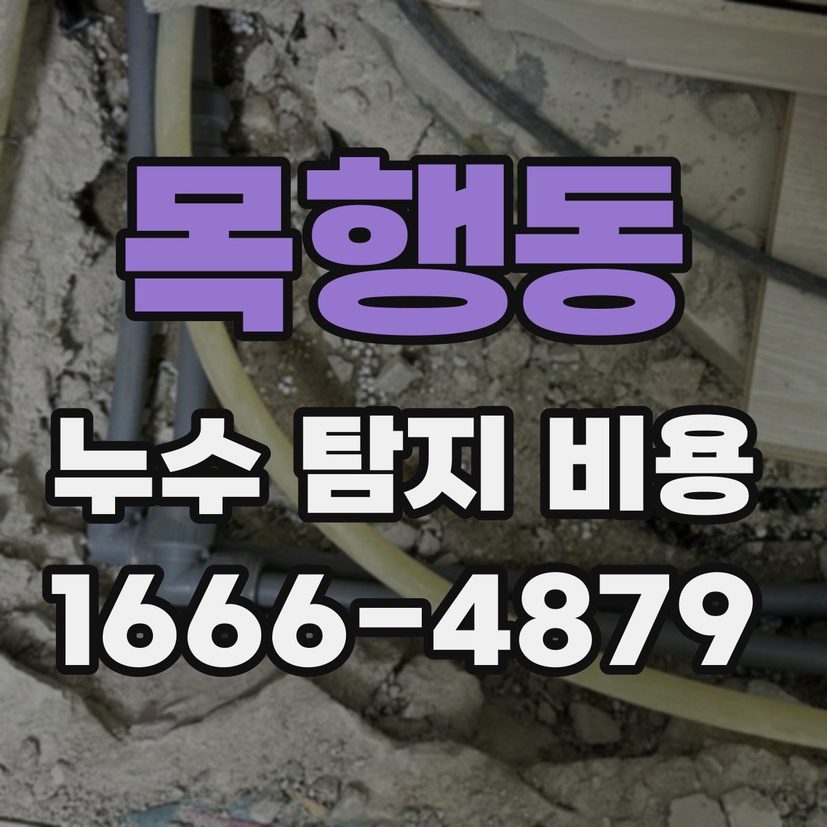 목행동 누수 탐지 비용