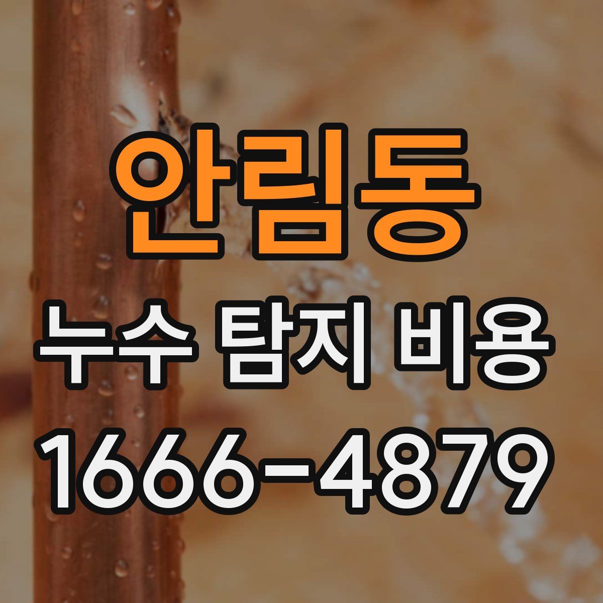 안림동 누수 탐지 비용