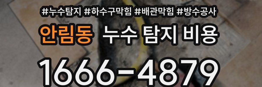 안림동 누수 탐지 비용