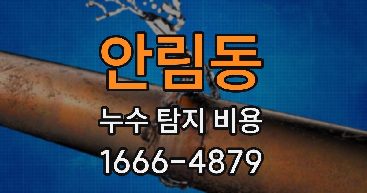 안림동 누수 탐지 비용