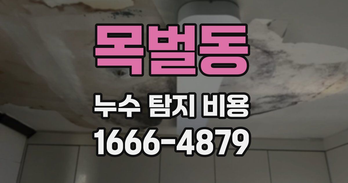 목벌동 누수 탐지 비용