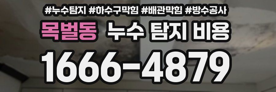 목벌동 누수 탐지 비용