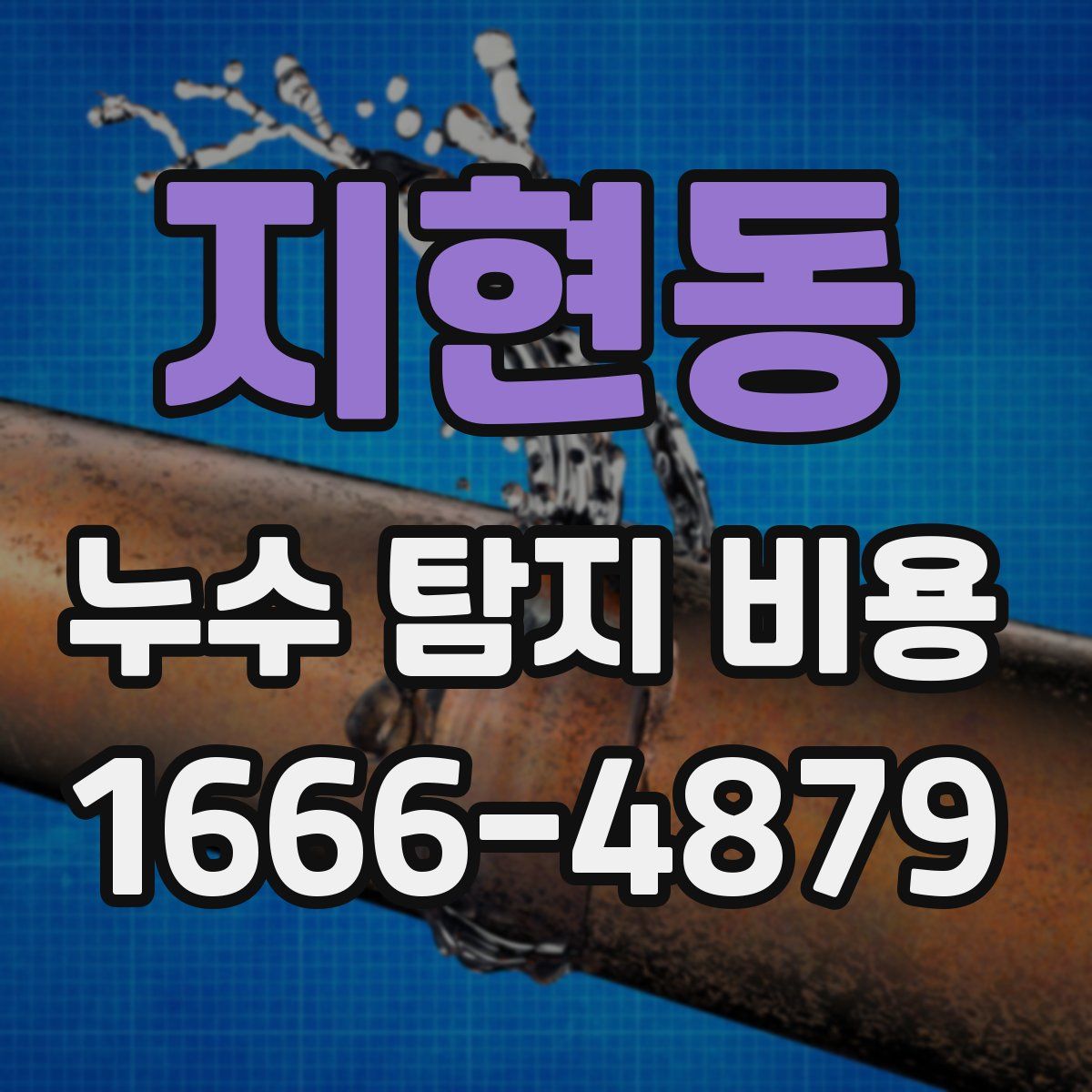 지현동 누수 탐지 비용