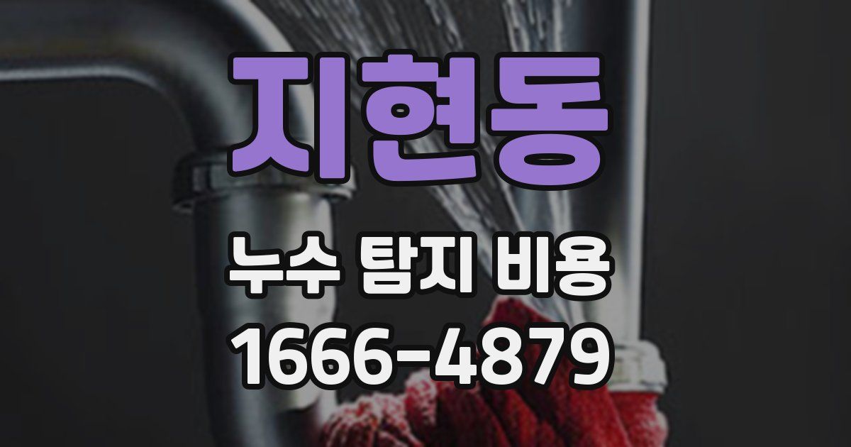 지현동 누수 탐지 비용