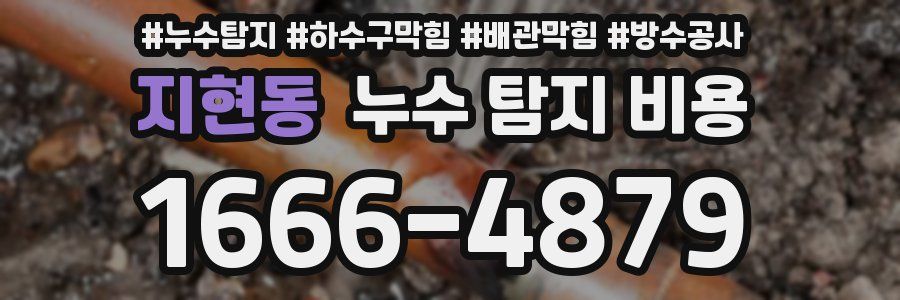 지현동 누수 탐지 비용