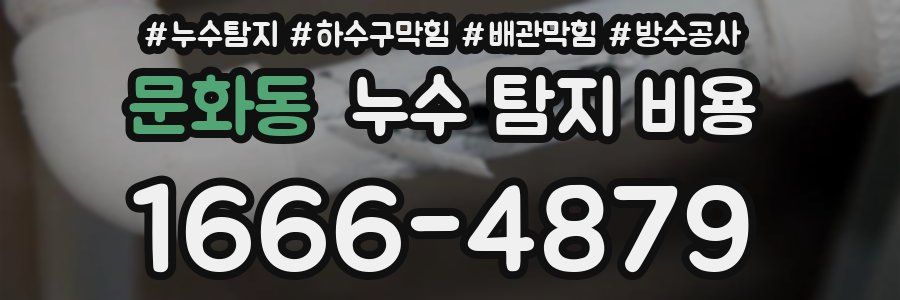 문화동 누수 탐지 비용