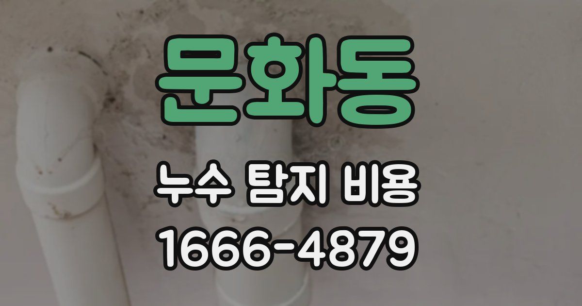 문화동 누수 탐지 비용