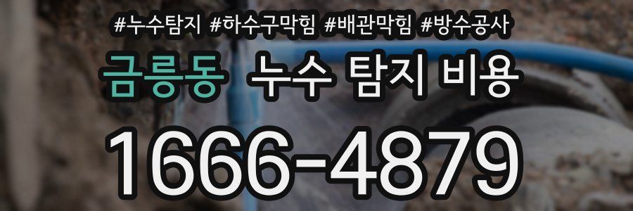 금릉동 누수 탐지 비용