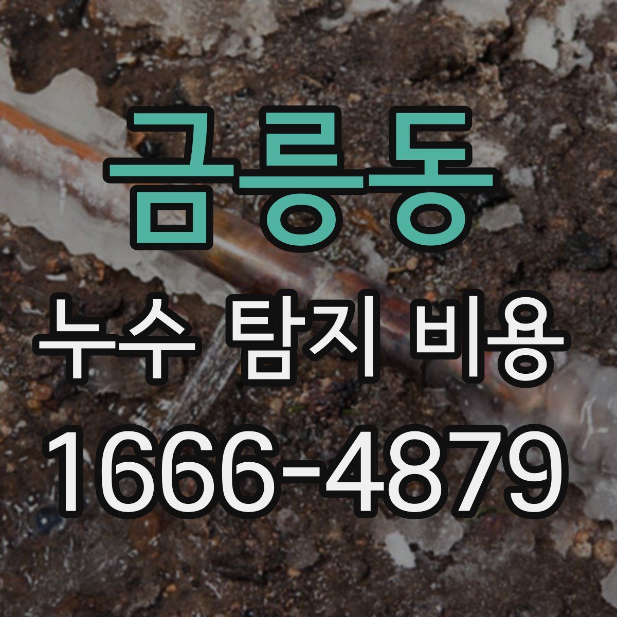 금릉동 누수 탐지 비용