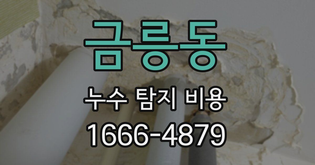금릉동 누수 탐지 비용