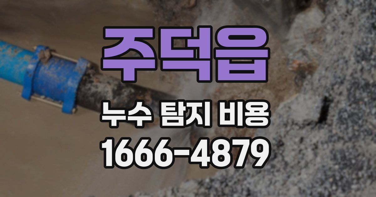 주덕읍 누수 탐지 비용