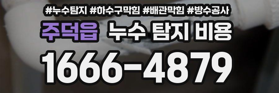 주덕읍 누수 탐지 비용