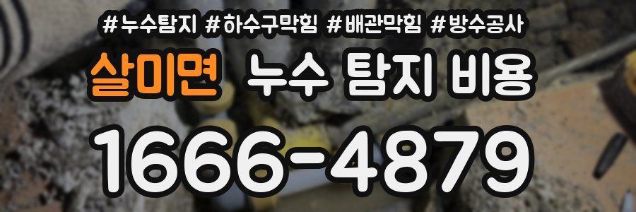 살미면 누수 탐지 비용