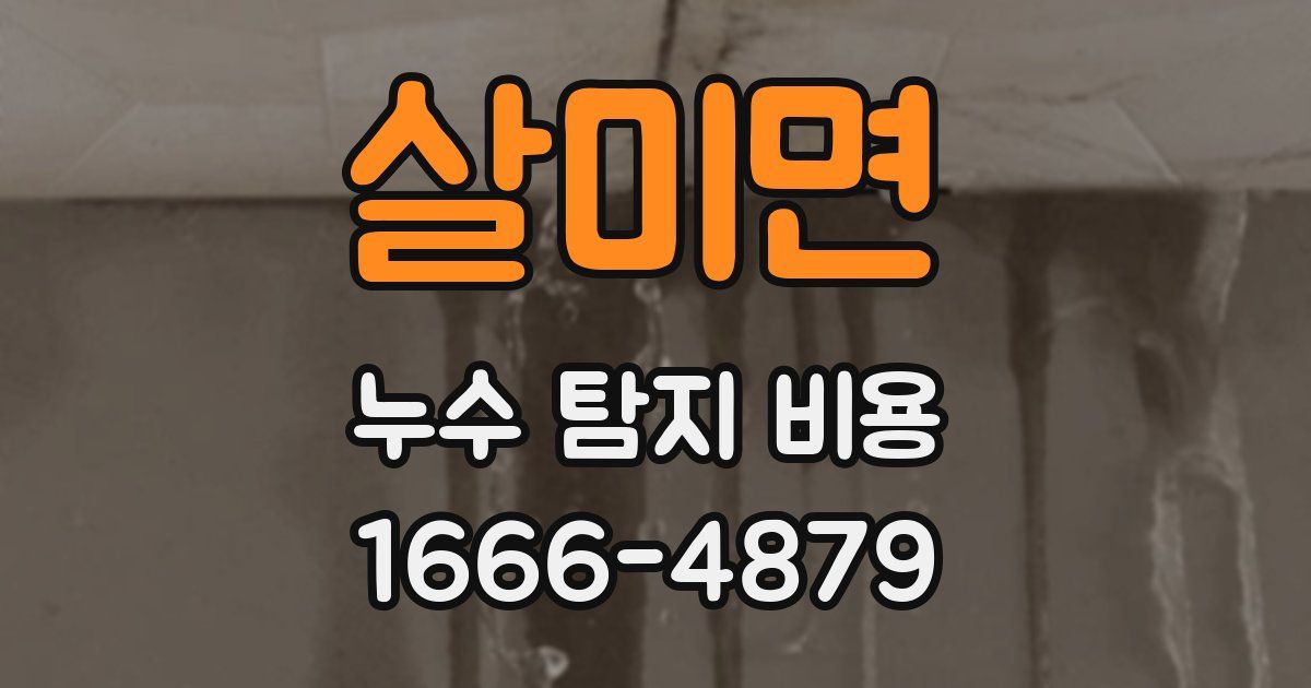 살미면 누수 탐지 비용