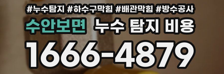 수안보면 누수 탐지 비용