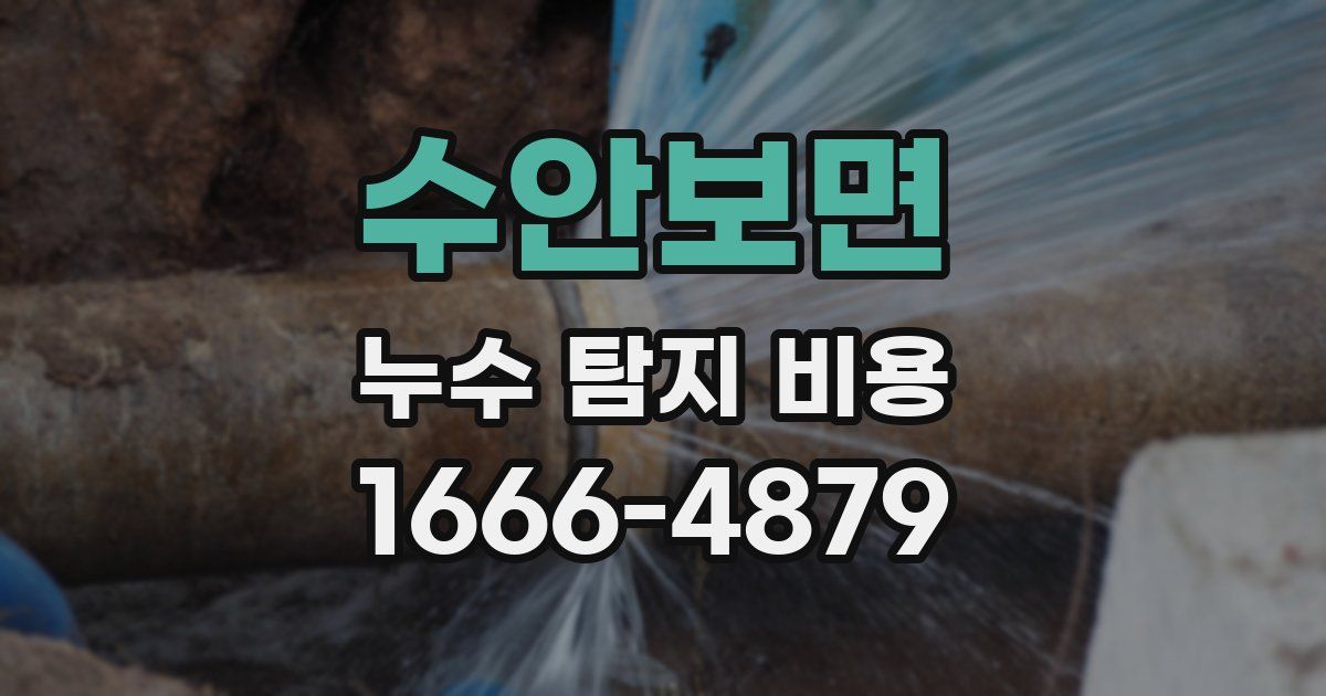 수안보면 누수 탐지 비용