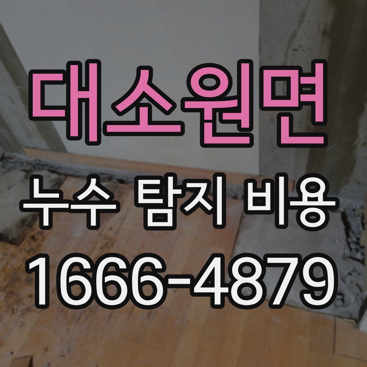 대소원면 누수 탐지 비용