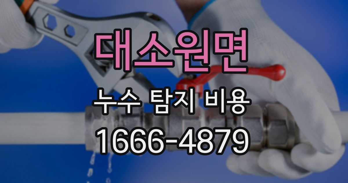 대소원면 누수 탐지 비용