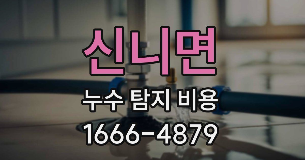 신니면 누수 탐지 비용