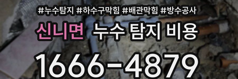 신니면 누수 탐지 비용