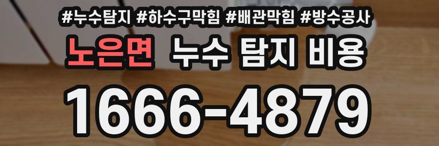 노은면 누수 탐지 비용