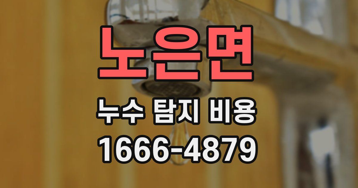 노은면 누수 탐지 비용