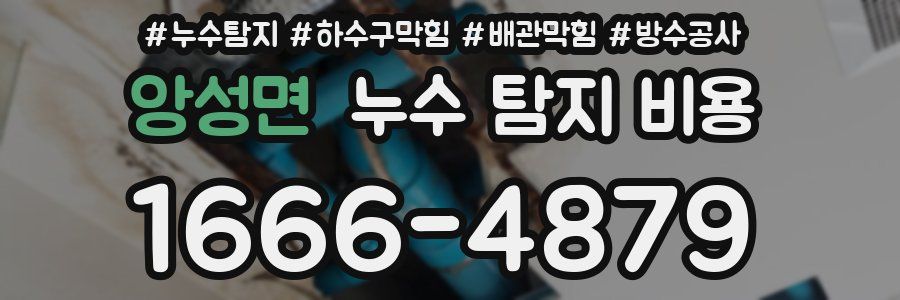 앙성면 누수 탐지 비용