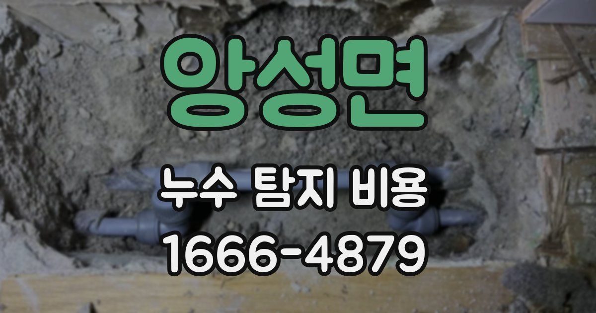 앙성면 누수 탐지 비용