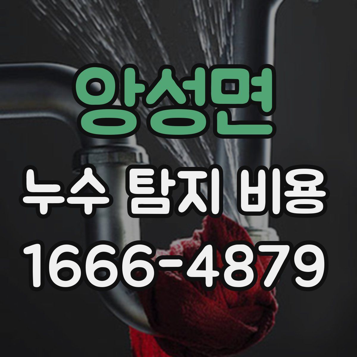 앙성면 누수 탐지 비용